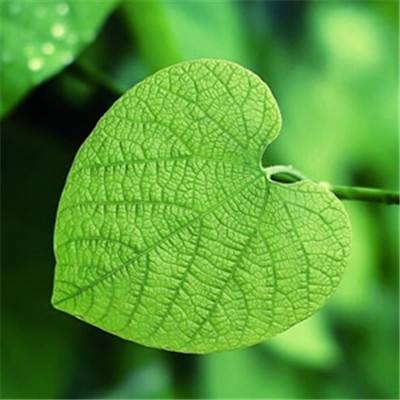 拳皇97变态终极免费版下载